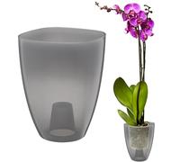VERDENIA KAJA Pot à orchidées, Design Minimaliste, léger, pour l'intérieur, en polypropylène de qualité supérieure, Surface Transparente, Pratique et Fonctionnel, 12 x 12 x 17 cm, Gris