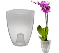 VERDENIA KAJA Pot à orchidées, Design Minimaliste, léger, pour l'intérieur, en polypropylène de qualité supérieure, Surface Transparente, Pratique et Fonctionnel, 12 x 12 x 17 cm, Transparent