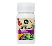 VerdeVivo Macérat de chrysanthème pour usage foliaire - 150 ml. Krisan-F Insecticide pour plantes à base de pyrèthre naturel concentré. Efficace contre les pucerons, les moucherons et autres parasites