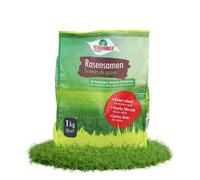 Verdurmax 1 kg de semences de gazon - Mélange de haute qualité pour 40 m² de pelouse dense, résistante et à germination rapide - Idéal pour la création, le regarnissage et la réparation du gazon