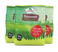 Verdurmax 3 x 1 kg de Semences de Gazon - Gazon Dense et Robuste
