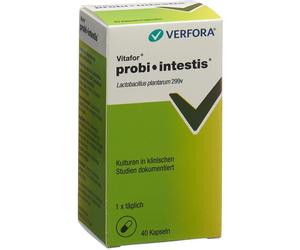 VERFORA® Vitafor® Probi-intestis® Capsule(S) 40 pc(s)