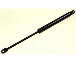 VERIN 250N POUR MICRO ONDES FOUR FAGOR - C00136996