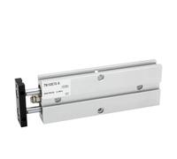 Vérin à double effet TN25 deux tiges, alésage 20 mm, course 10-200, avec aimant pneumatique TN25X30S (1 pièce)(TN25X10-S)