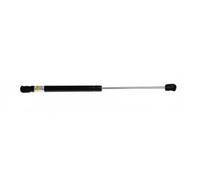 Lesjöfors Vérin à gaz de capot 8008418 avant pour BMW X5 X6