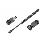 Vérin à gaz de coffre 740 910 0038 MEYLE pour FORD FOCUS II A trois volumes