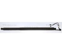 Triscan Vérin à gaz de coffre 8710 29314 pour Skoda OCTAVIA III Combi