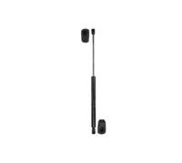 Vérin à gaz STABILUS 592307