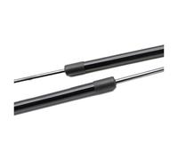 Vérin Capot Moteur Pour Peugeot Pour RCZ 2009 2010 2011 2012 2013 2014 2015 Capot Avant Vérins À Gaz Supports De Levage Amortisseur Ressort Tige(Ordinary Black)