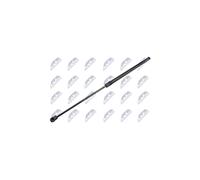 Vérin de coffre NTY compatible avec Honda, Noir, 100N, Suspension Lift Support, Rear