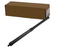 NTY AE-HD-029 Vérin de coffre