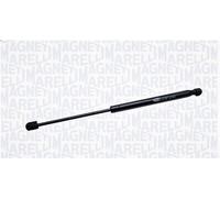 Vérin de hayon, de coffre MAGNETI MARELLI 430719071200 pour i10 I 1 2011-2013