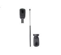 Vérin de hayon, de coffre STABILUS 788245 pour FREELANDER I (L314) 2 2000-2006