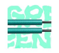 Vérin De Hayon Lot 2 Vérins À Gaz Pour Coffre Voiture Support Levage Amortisseur Hayon Arrière Pour BMW X1 E84 2009-2015 SUV Verin Hydraulique(GREEN CARBON FIBER)