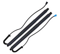 VéRin De Hayon Lot De 2 Vérins À Gaz Pour Hayon Arrière Électrique Pour BMW Pour X4 F26 2013-2017 51247339432 Et 51247339431 Universel