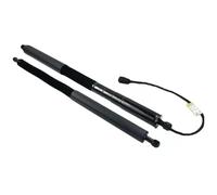 VéRin De Hayon Vérins À Gaz Pour Hayon Électrique Pour BMW Pour X3 G01/G08/F97 2018-2021 51247497482 Universel