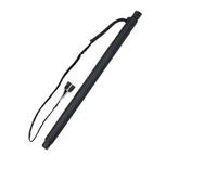 Vérin Électrique Coffre Hayon Arrière Support Hayon Électrique Pour BMW Pour X6 E71 2008-2014, Actionneur 51247332697 51247332698
