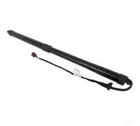 Vérin Gaz Hayon Électrique Support Hayon Électrique Amortisseur D'ouverture Pour Ford Pour C-MAX Pour Grand Pour C-MAX 2010-2019 2359184 2359182 Vérins À Gaz Hayon Électrique Amortisseur(La gauche)