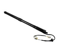 Vérin Hayon Coffre Arrière Paire De Vérins À Gaz Pour Hayon Arrière Électrique Pour Toyota Pour RAV4 2019-2022 (6891042060) Car Boot Gas Springs(Rh)