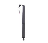 Vérin Hayon Coffre Arrière Pour Ford Pour Explorer 2016 2017 2018 2019 Amortisseur Hayon GB5Z14B351A GB5Z78406A10A Entretoises Support Levage Électrique(La gauche)