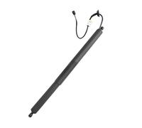 vérin hayon Paire de supports levage hayon électrique pour coffre arrière, pour BMW X5 G05 2019 2020 2021 Voiture Vérin Coffre(1 pc)