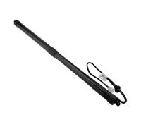 Verin Hydraulique 68920-48031 68910-48071 Support Levage Arrière Gauche Voiture Entretoise Hayon ÉlectriqueRessort Pneumatique Compartiment Pour Lexus RX 2015-2022(LH)