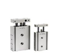 Vérin pneumatique à double tige de type SMC CXSM15-10 CXSM15-15 CXSM15-20 CXSM15-25 CXSM15-30 CXSM15-40 CXSM15-50 75 100 125 (Cxsm15-35)(Cxsm15-20)