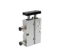 Vérin pneumatique à double tige et double arbre en Cylindre à double tige TN/TN10, alésage à double effet, taille 10mm, course 10-100mm, avec aimant, cylindre à Air TN10X10S TDA10X30S TN10X50S(TN10X20