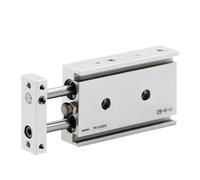 Vérin pneumatique à double tige série TR, 1 pièce, TR16, TR20, TR25, TR32, course de 10 à 200 mm, avec aimant(Stroke175mm Magnetic,TR20 (Bore 20mm))