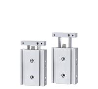 Vérin Pneumatique À Double Tige Série TR, Alésage 20 Mm, Palier Lisse, TR20X20S, TR20X50S, TR20X100S, TR20X200S(TR20X75S)