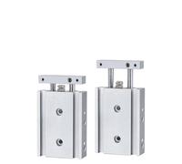 Vérin Pneumatique À Double Tige Série TR, Alésage 25 Mm, Palier Lisse, TR25X30S TR25X50S TR25X60S TR25X150 TR25X200S0S(TR25X60S)