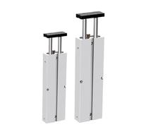 Vérin pneumatique à double tige TN 10, 16, 20, 25, 32 mm, course en alliage, 200, 250, 300, 350, 400, 450 mm, 1 pièce(TN20,Stroke 200mm)