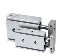 Vérin pneumatique à double tige TR10, alésage 32 mm, course 10-100 mm, avec aimant, 1 pièce(Stroke 20mm)
