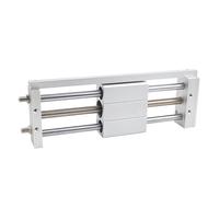 Vérin pneumatique magnétique sans tige, alésage 32 mm, double effet, course 100 mm à 1500 mm pour l'automatisation industrielle(RMTL32x1500)