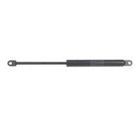 Verin porte pour micro-onde indesit G