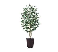 VeriNatural Ficus 180 cm Grande Plante Artificielle Intérieur - Feuilles en Soie, Tronc en Bois, Pot Haut Marron, UV Résistant Fausse Plante- Décoration intérieur extérieur pour Salon Bureau, VN129
