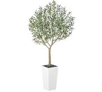VeriNatural Olivier Artificiel 210 cm - Plante Artificielle Intérieur Décorative avec Pot Conique Blanc, Protection UV - Fausse Plante Verte Maison Salon Bureau Jardin Extérieur, VN156