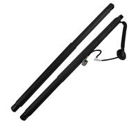 Vérins à gaz de hayon 6892016010 6891016010 pour Toyota Corolla Cross 2020- Actionneur de hayon électrique, Support de Levage, Ressort à gaz, vérin de hayon