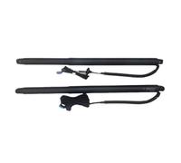 Vérins À Gaz De Hayon Électrique Pour Citroen DS7 2018 2019 2020 Électronique De Voiture Hayon Accessoires Électriques Intelligents Élévateur(No Kick Senor)