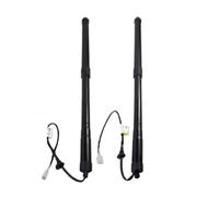 Vérins À Gaz De Hayon Électrique Pour Lexus RX 2015-2022 68910-48071 Vérin Hayon Arrière Droit Électrique Entretoise Ressort Pneumatique Compartiment À Bagages(PAIR)