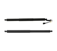 Vérins À Gaz Électriques Arrière Vérins De Hayon Arrière Électriques Pour BMW X1 F48 F49 2018-2019 Hayon De Coffre 51247481807 51247481803(A pair)