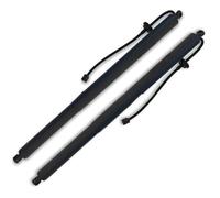 Vérins à gaz électriques Vérin Hayon Powerlift Pour Lincoln Pour Corsair 2020-2023 OE LJ7BS402A55AF LJ7BS402A54AF Vérins à gaz hayon électrique