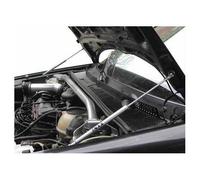 Vérins de capot avant pour Golf 3 - 2 pièces