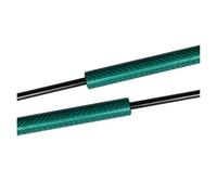 Verins De Coffre Pour Civic Pour Type R EP3 Hatchback Coffre Lève-coffre Prend Charge Tige Ressort Arrière Support Amortisseur Hayon Arrière Jambes Force Verin Hydraulique(Green carbon fiber)