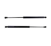 Vérins Gaz Coffre Hayon Pour Rover 75 Pour RJ Pour Tourer Pour Break 2001 2002 2003 2004 2005 BHE500050 2x Vérins À Gaz Hayon Arrière