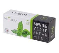 VERITABLE - 4 paquets de Lingot® Green Mint - Compatible avec tous les types de Veritable Garden G