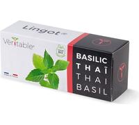 Véritable basilic thaï Lingot - terreau pré-cultivé