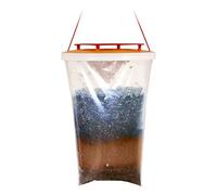 Véritable chasse rouge Fly Trap (1 piège)