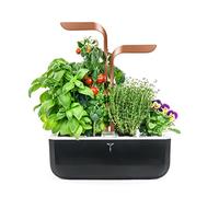 Véritable Culture d'intérieur Intelligente avec Adaptation Automatique LED basée sur la lumière ambiante - Kit de 4 graines incluses (cuivre)