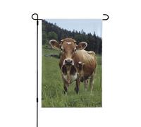 Véritable drapeau de jardin imprimé vache suisse marron, 31,8 x 45,7 cm, drapeau de décoration extérieure double face pour jardin, terrasse, pelouse, jardin, porche